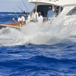 63rdIBT - 63rd International Billfish Tournament