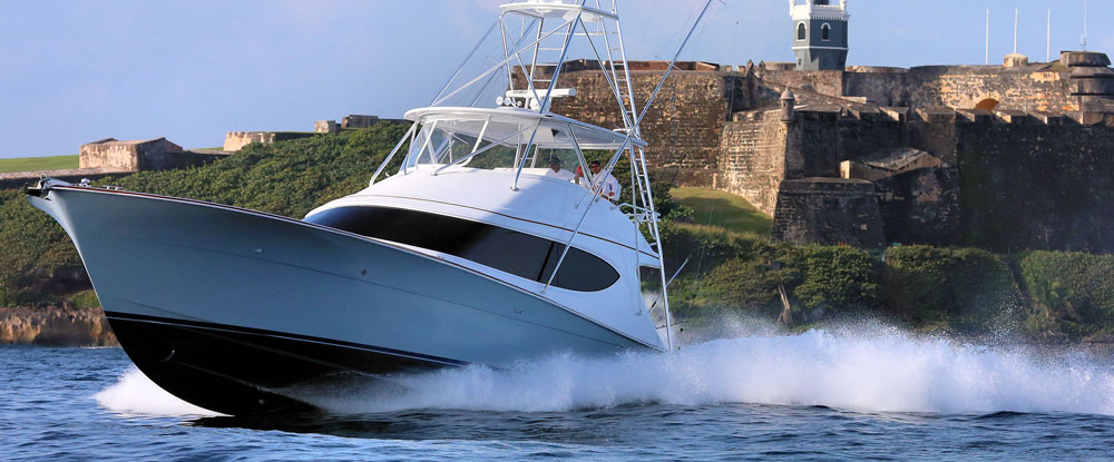 60th international billfish results